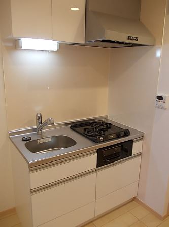 Kitchen. Two-burner gas stove system Kitchen