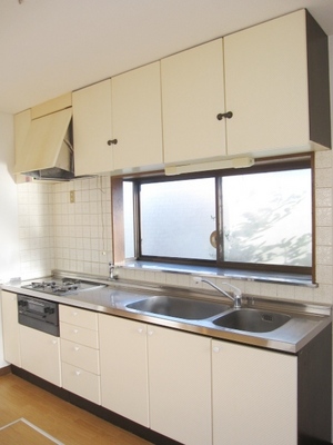 Kitchen. Sink There are two