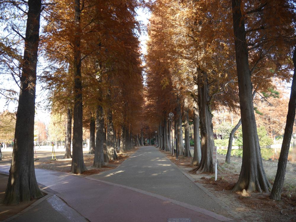 Other. The very feeling is good on both sides when you walk through the autumn leaves There is also a spacious space or the like can catch the ball