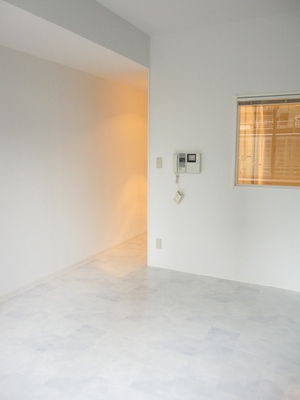 Living and room. White fresh image