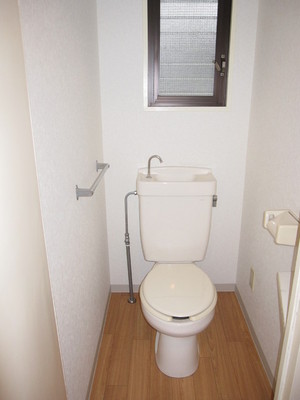 Toilet. Window with bright! 