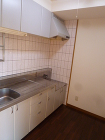 Kitchen. Stand-alone kitchen