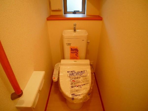 Toilet. A little cabinet in toilet.