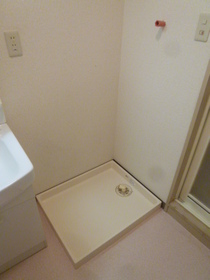 Other. Washing machine in the room