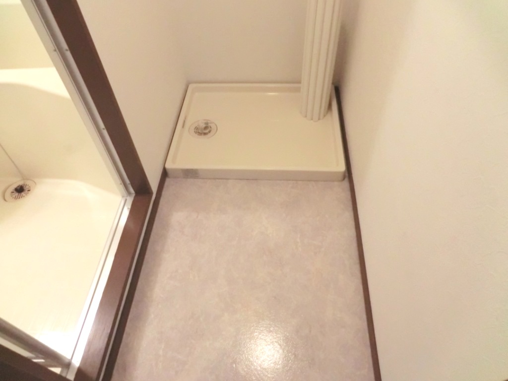 Other room space. Washing machine in the room