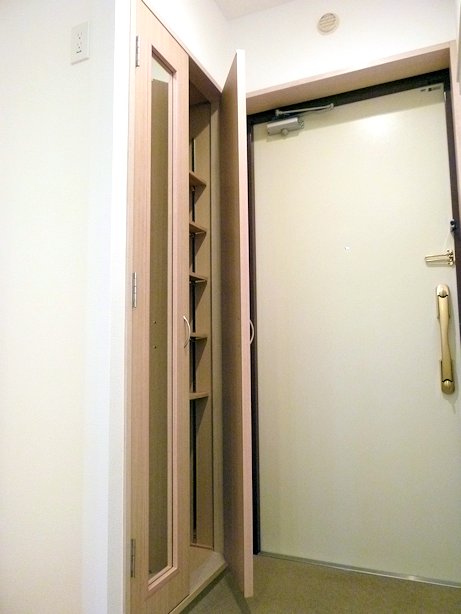 Entrance. Grooming before going out in the mirror with shoe closet