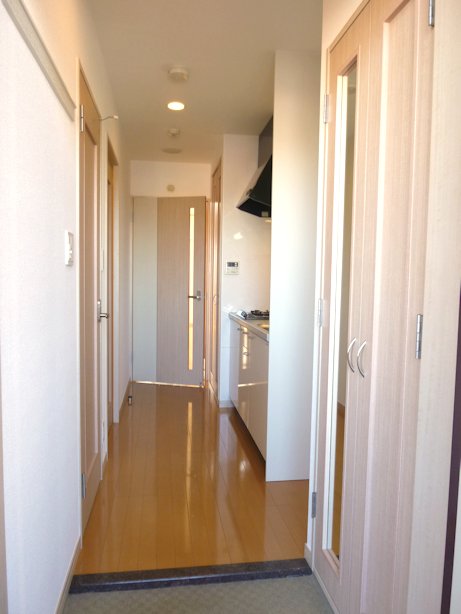 Entrance. Large shoe box of the entrance tall size, With mirror