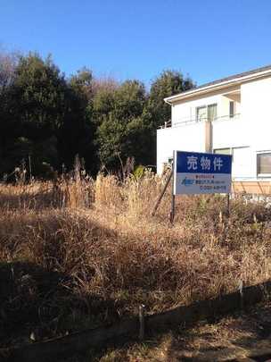 Local land photo. local