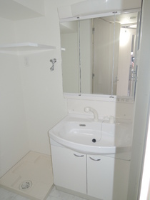 Washroom. Shower Dresser