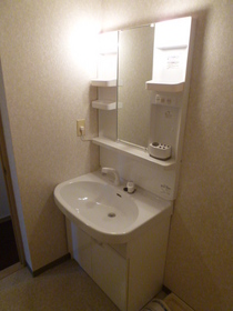 Washroom. Bathroom vanity