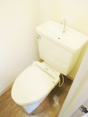Toilet. It comes with a heating toilet seat