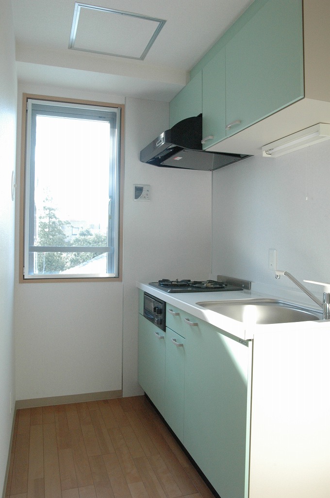 Kitchen. System kitchen