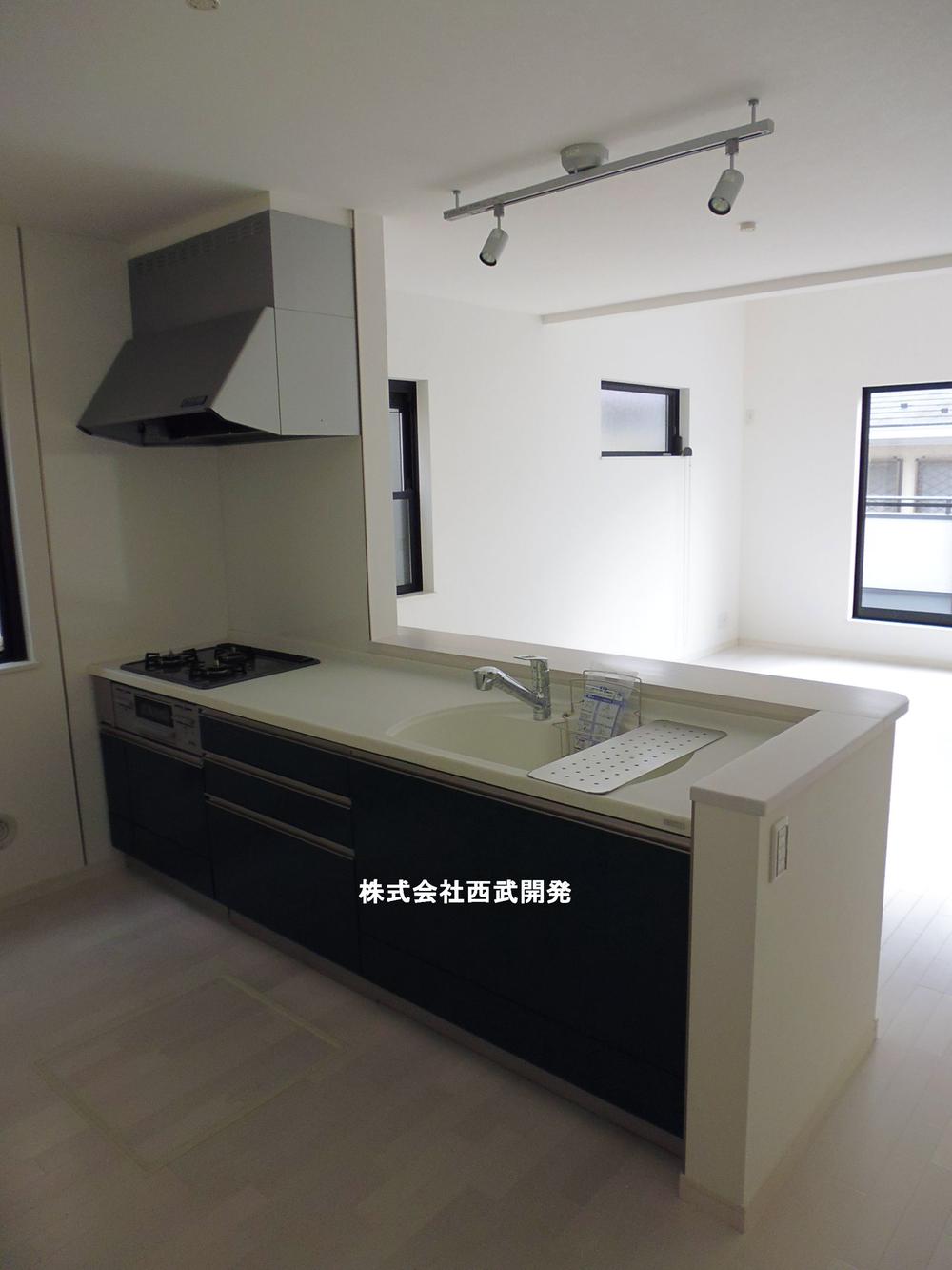 Kitchen. Indoor (12 May 2013) Shooting