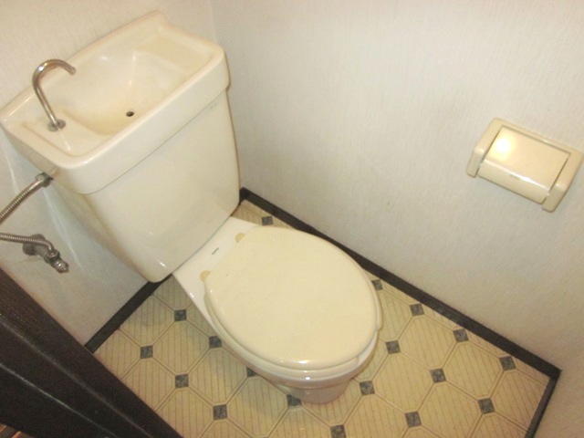 Toilet
