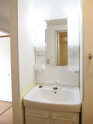 Washroom. There washbasin