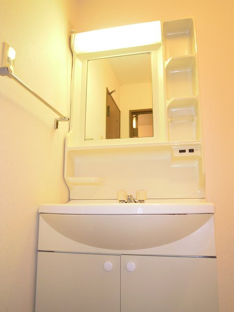 Washroom. Independent washroom there is a door