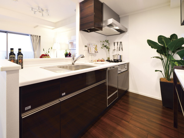 Kitchen. Kitchen space a collection of functional beauty