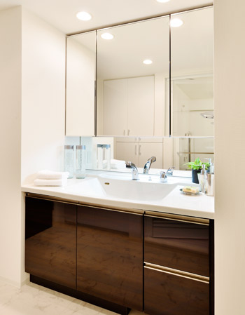 Bathing-wash room. Powder room full of always on freshness