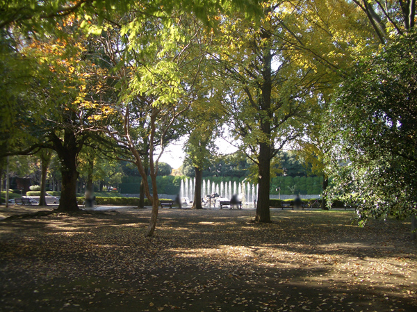 Surrounding environment. Kitaurawa park (about 640m ・ An 8-minute walk)