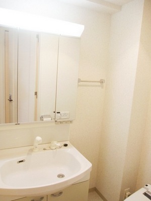 Washroom. Is a mirror surface storage