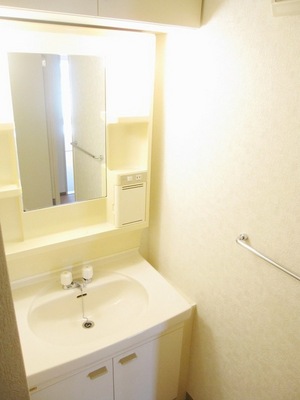 Washroom. It is vanity of simple functions!