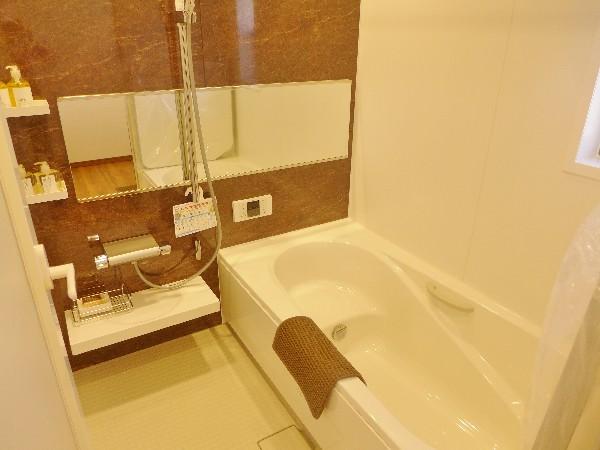 Bathroom. Heating dry with a bathroom.