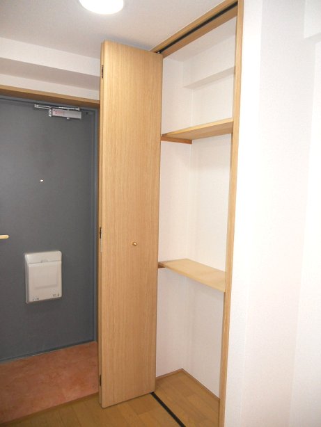 Entrance. It is something useful when there is a large storage in the front door