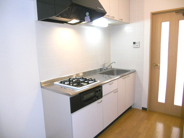 Kitchen. System kitchen with two-burner stove and the grill is lucky