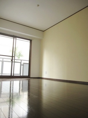 Living and room. Flooring shiny