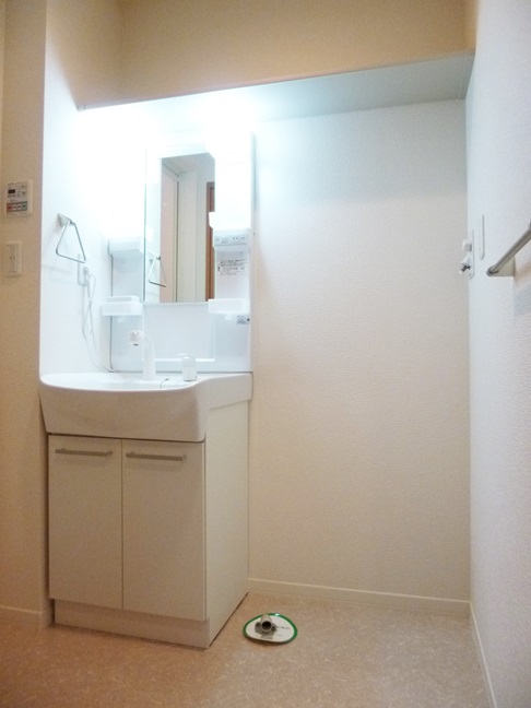 Washroom. Busy morning also comfortable with a shampoo dresser