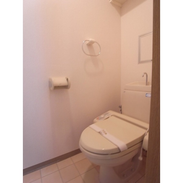 Toilet. Warm water washing toilet seat