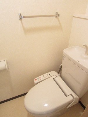Toilet. It comes with a bidet! 