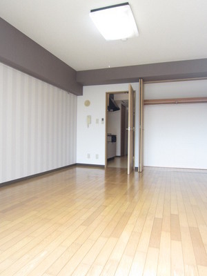 Living and room. 9.5 Pledge comes with Western-style lighting