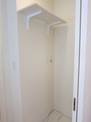 Other. There is a rack on the washing machine Storage!