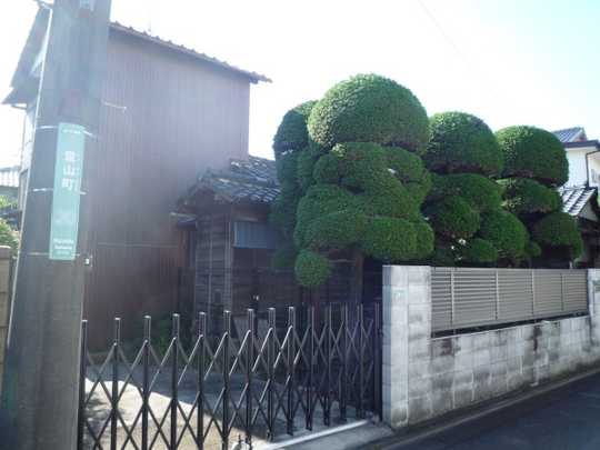 Local land photo. Article