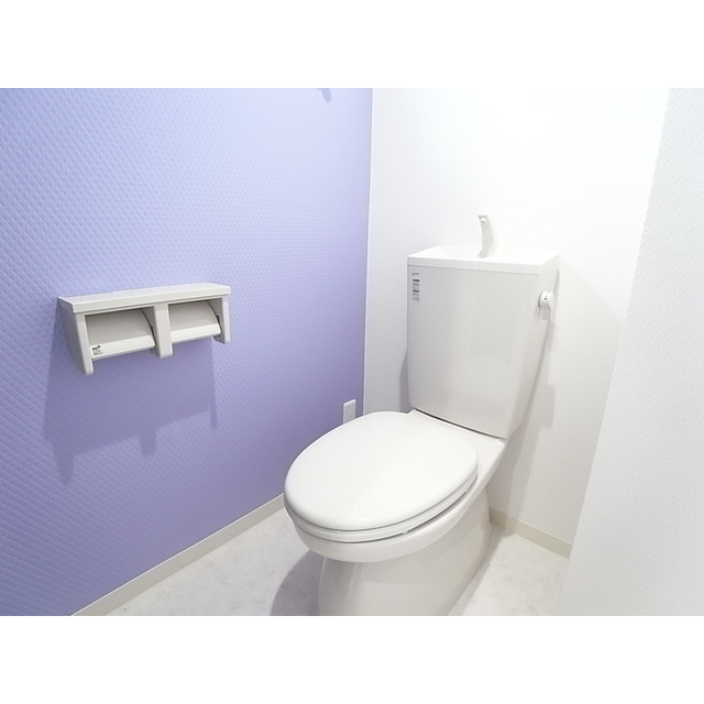 Toilet. Accent Cross