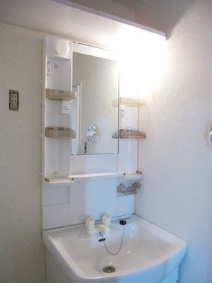 Washroom. Shampoo dresser