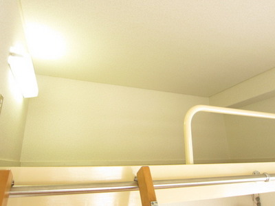 Other. It can also be used as a storage