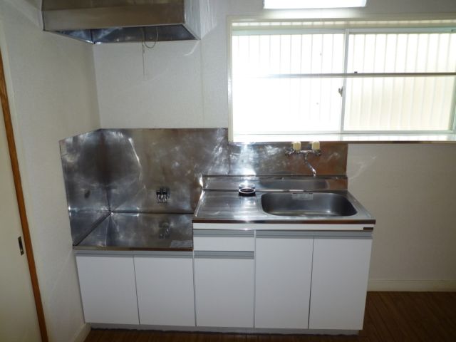 Kitchen. Two-burner stove is also possible installation