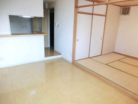 Living and room. Storage is plenty of floor plan.