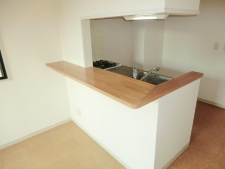 Kitchen. Conversation is also bouncy counter kitchen.