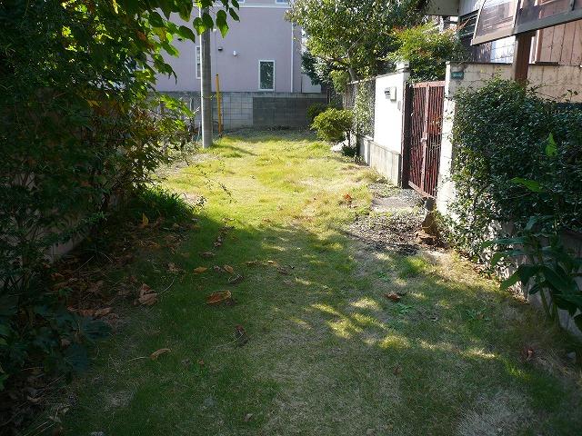 Local land photo. Local (11 May 2013) Shooting