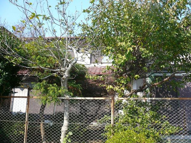 Local land photo. Local (11 May 2013) Shooting