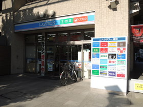 Convenience store. 250m until Lawson (convenience store)