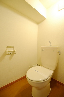 Toilet. Bathroom with a shower