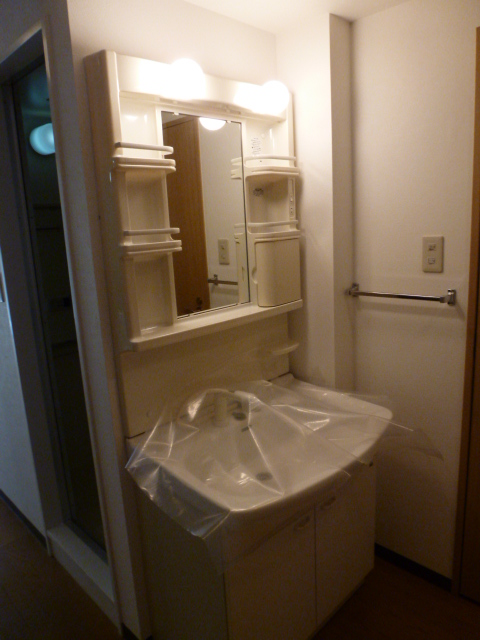 Washroom. Convenient Shampoo dresser