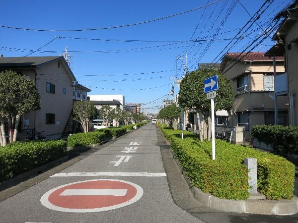 Local land photo