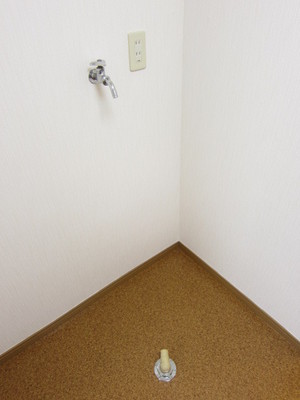 Other Equipment. It is indoor washing machine Storage