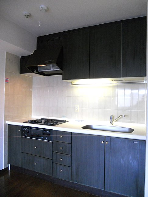 Kitchen. Convenient three-necked gas system Kitchen