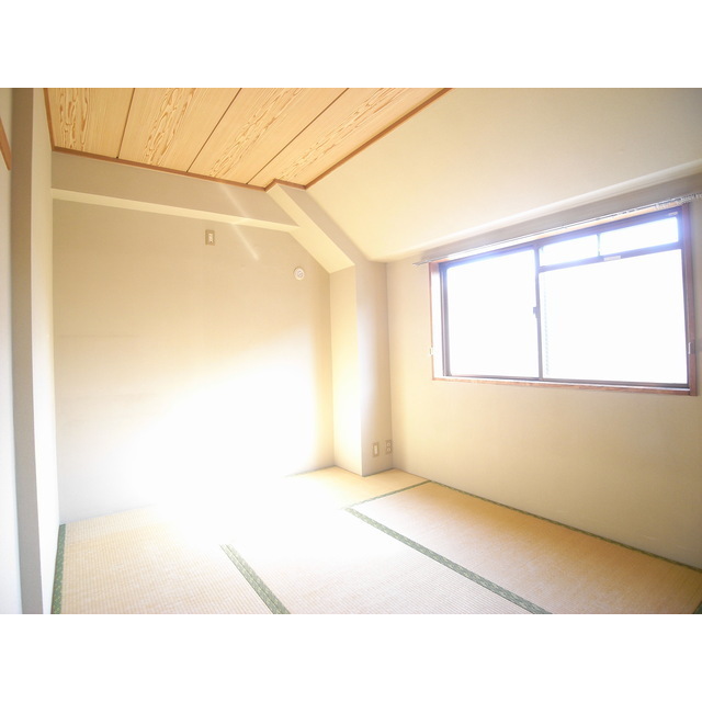 Other room space. Japanese style room